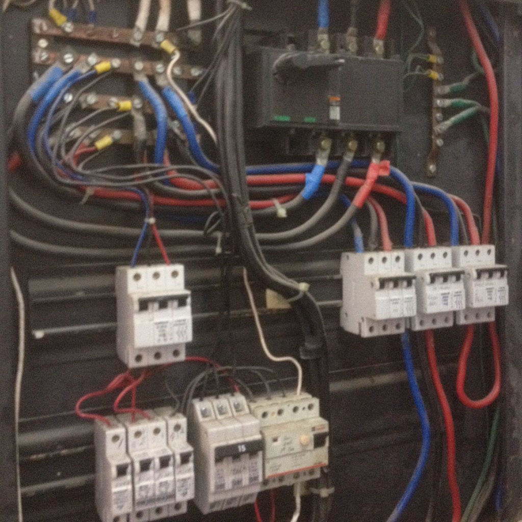 Levantamiento Eléctrico 010