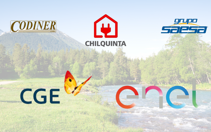 ¡Paso A Paso Como Solicitar Tu Empalme Electrico En Chile